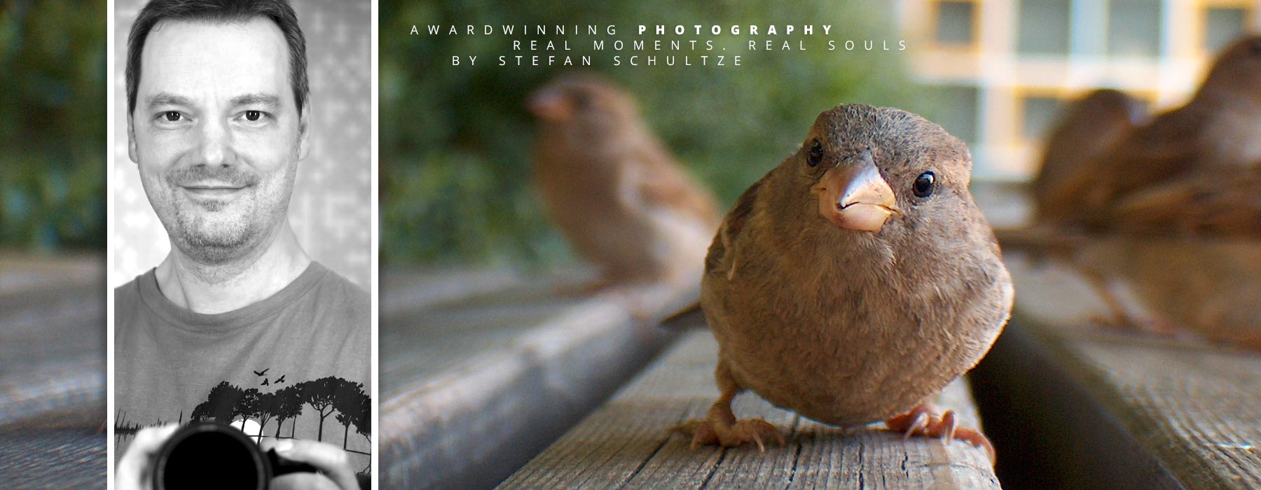 Fineart photography by Stefan Schultze: a little sparrow or in german Spatz as we say confidently chirping for one of my snacks - I had the cam with me and wasn´t sure if the little feathered fella wanted only my snack or talk to its buddy in the mirror reflection of the lens the closer it got. Finally after I was walking away a little crowd of 10-15 birds followed me in the same manner on the way walking and jumping, loudly chirping until they finally flew away :) 