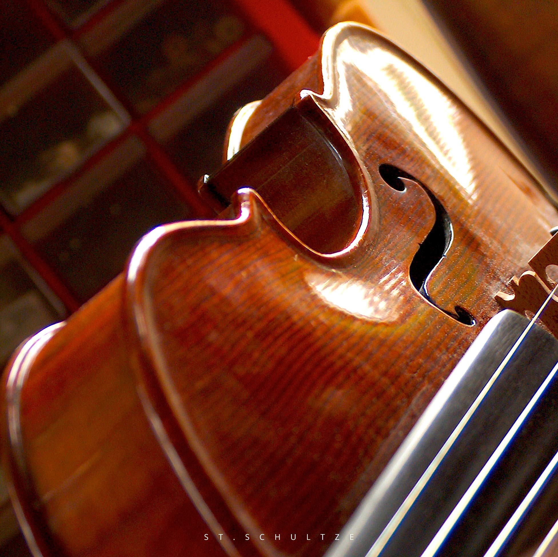 vintage violin detail, craftmansship, instrumentbuilder, PHOTOGRAPHY by Stefan Schultze.